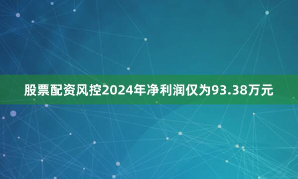 股票配资风控2024年净利润仅为93.38万元