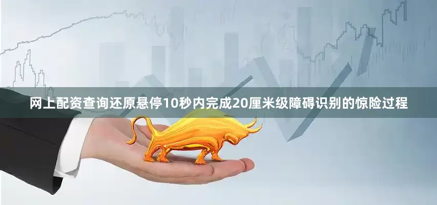 网上配资查询还原悬停10秒内完成20厘米级障碍识别的惊险过程
