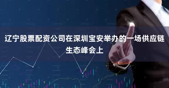 辽宁股票配资公司在深圳宝安举办的一场供应链生态峰会上