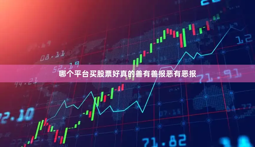 哪个平台买股票好真的善有善报恶有恶报