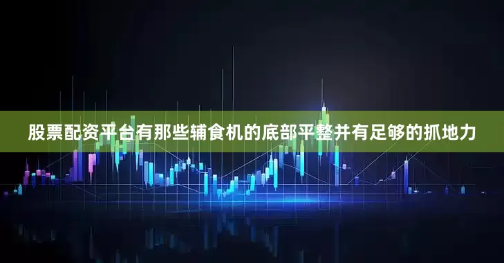 股票配资平台有那些辅食机的底部平整并有足够的抓地力
