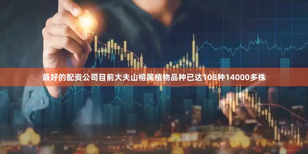 最好的配资公司目前大夫山榕属植物品种已达108种14000多株